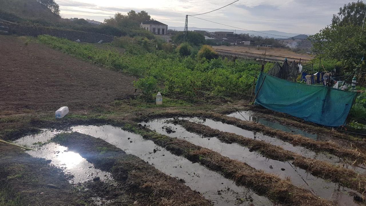 Villa El Sitio De Su Recreo Jerez De Los Caballeros Exterior foto